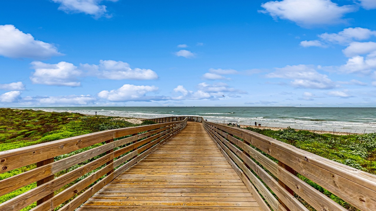Photo of Others in Port Aransas