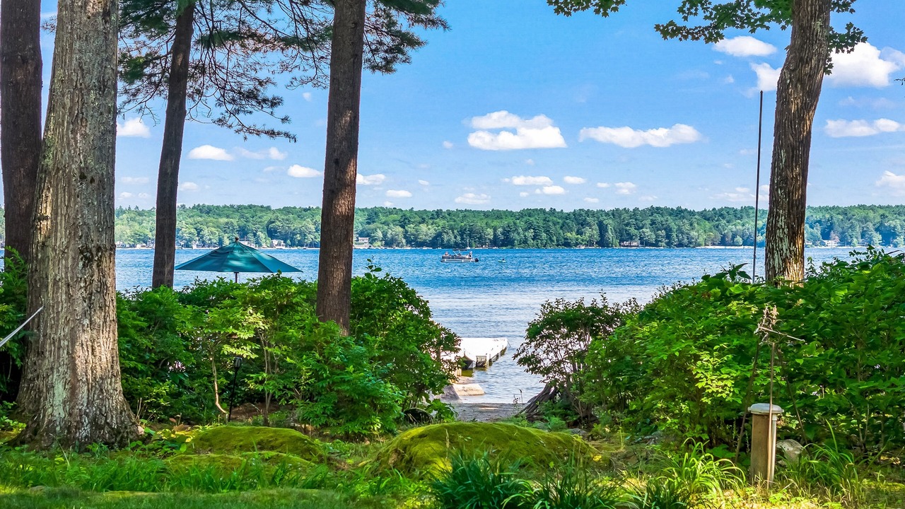 Photo of Others in South Casco