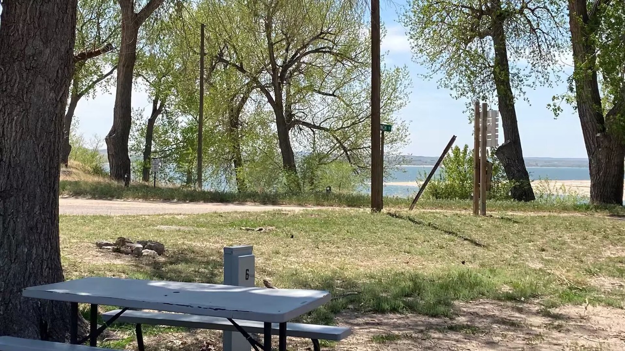 Photo of Others in Lonergan