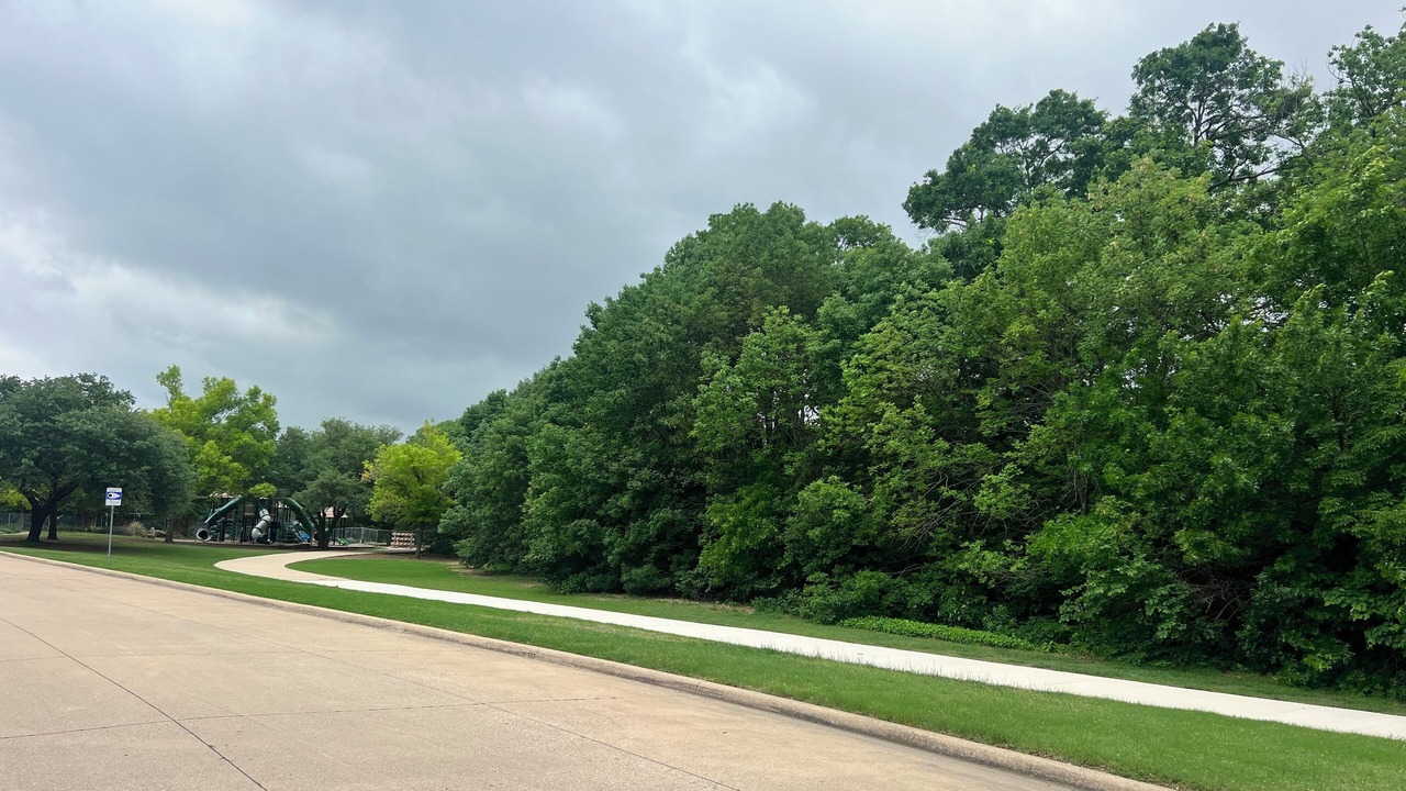 Photo of Others in Allen
