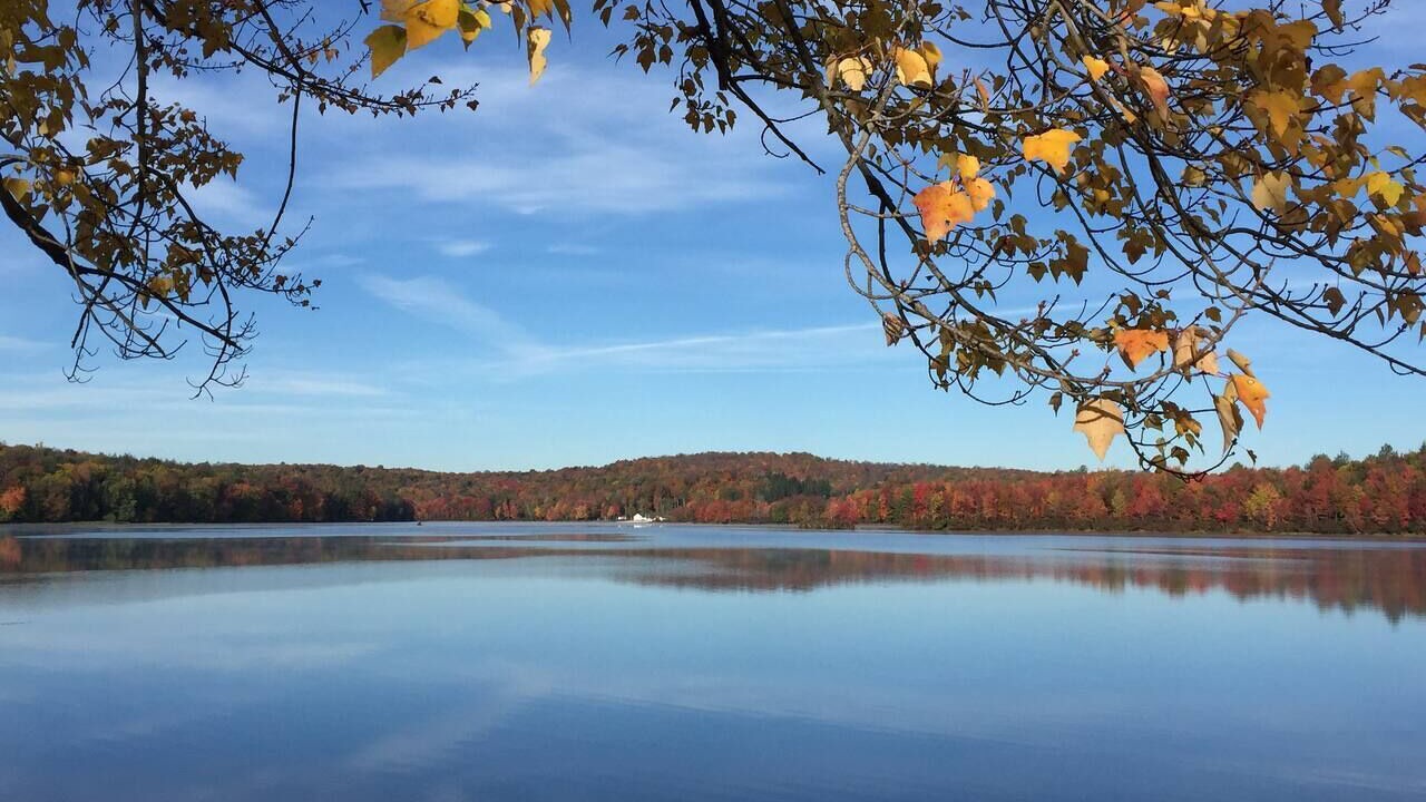 Photo of Outdoor in Beach Lake