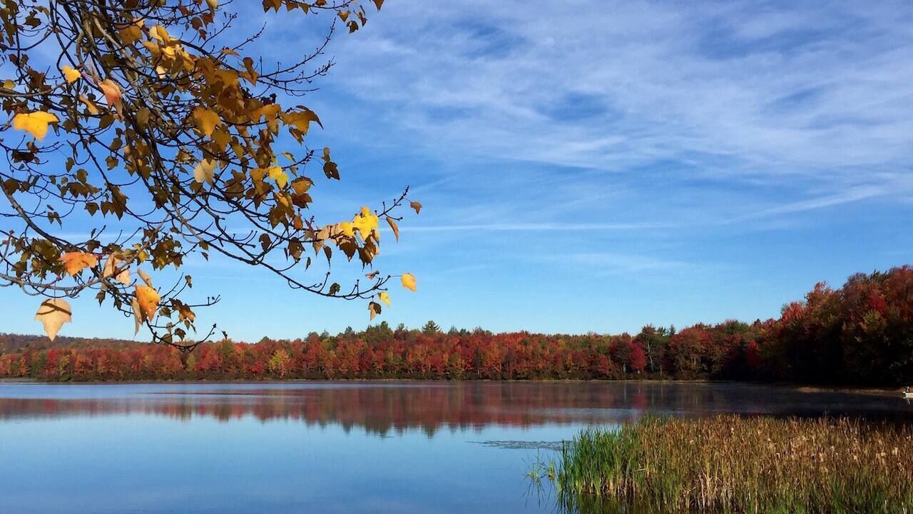 Photo of Outdoor in Beach Lake