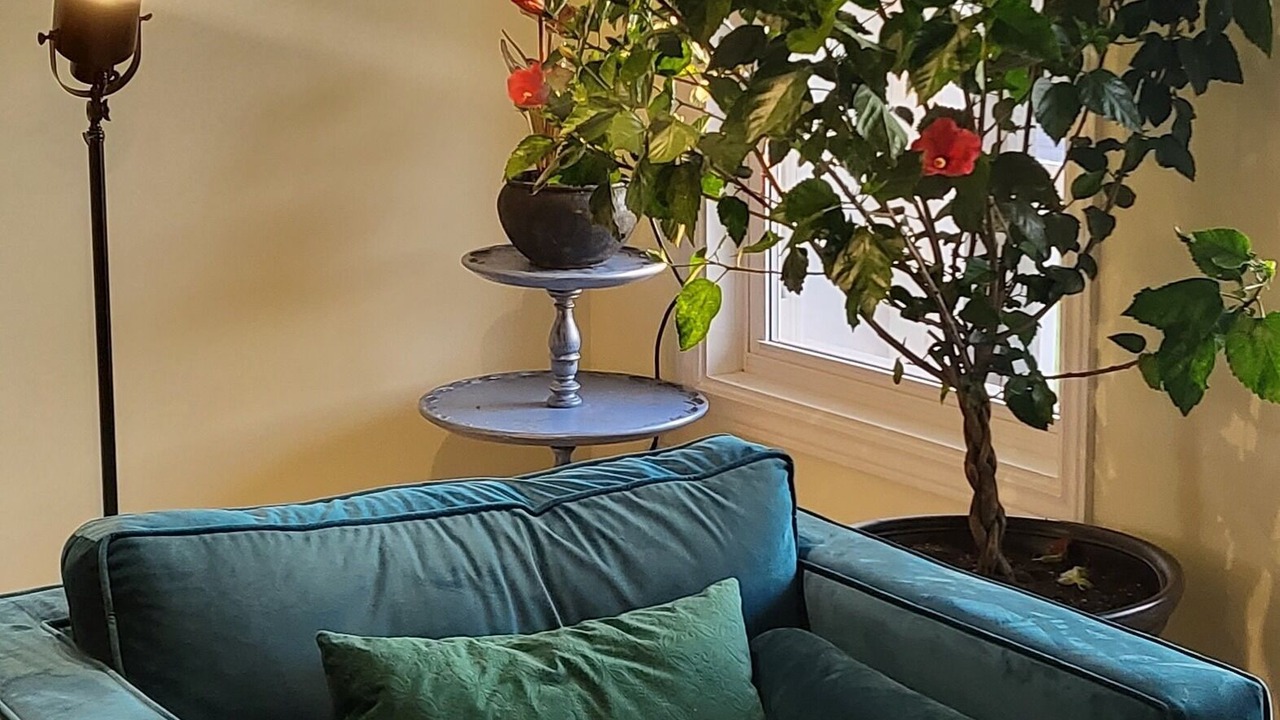 Photo of Livingroom in Industrial Park