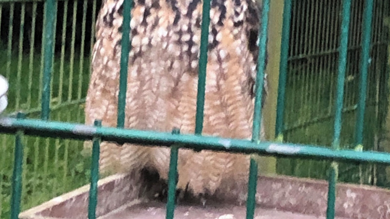 Photo of Others in Padfield