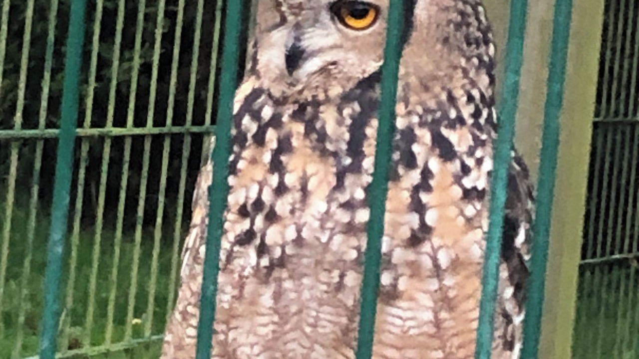 Photo of Others in Padfield