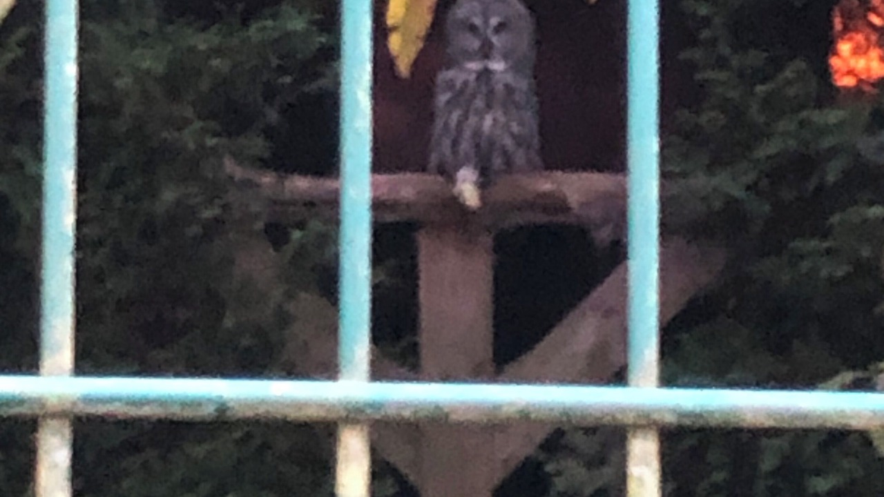 Photo of Others in Padfield