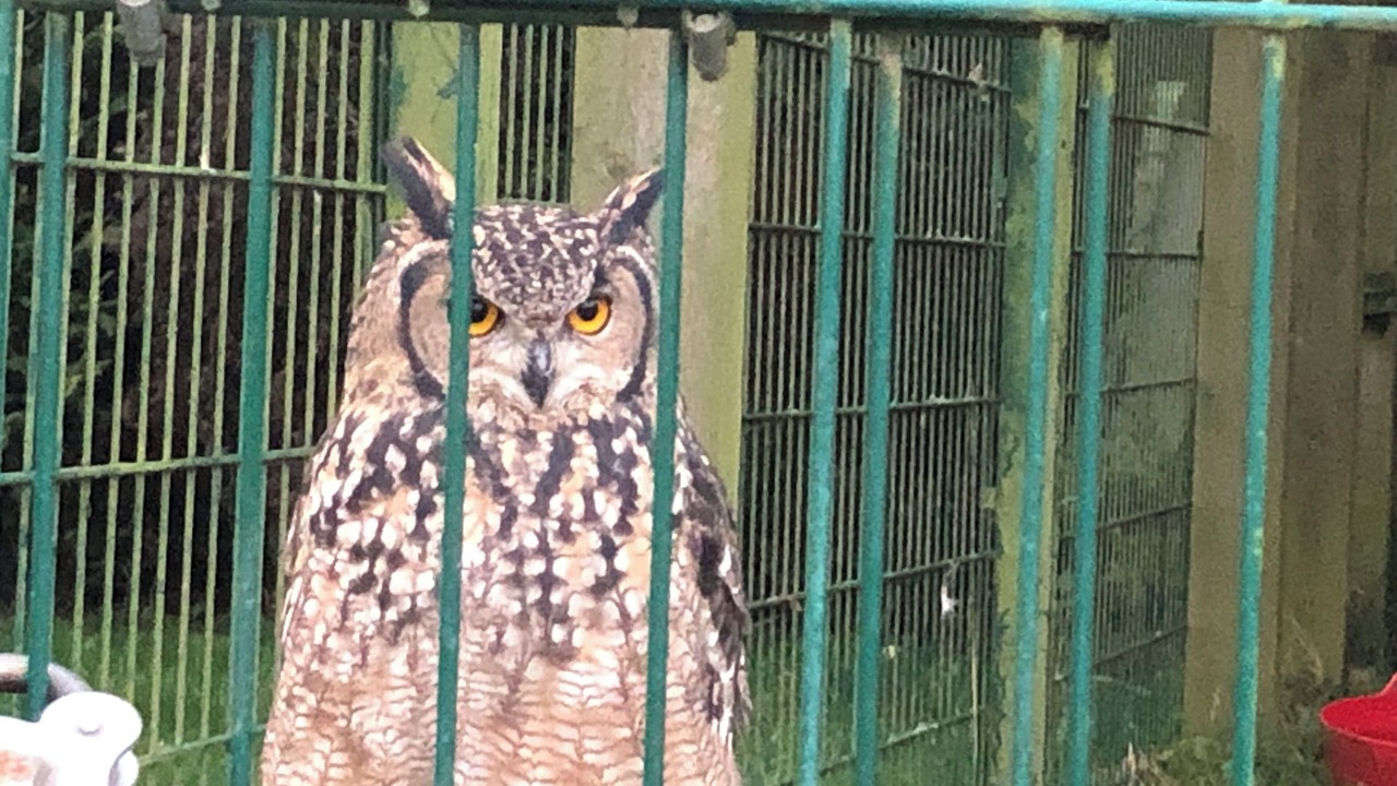 Photo of Others in Padfield