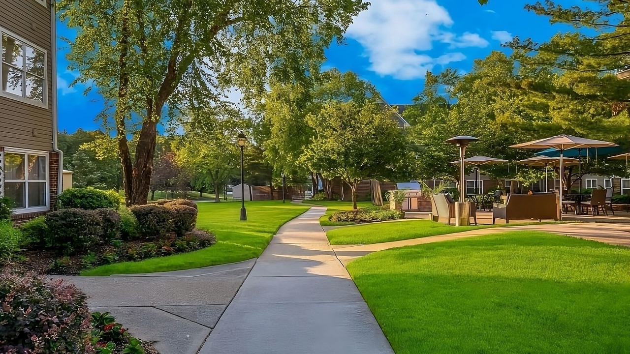 Photo of Others in Mount Tabor