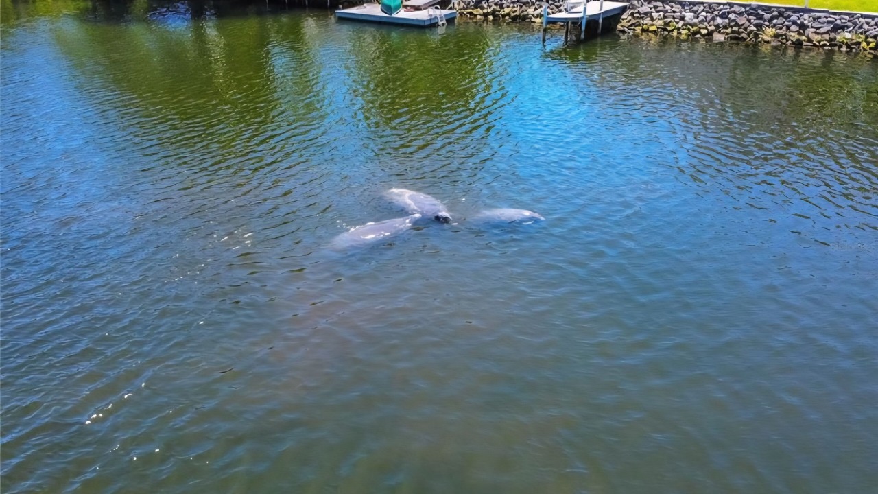Photo of Others in Crystal River