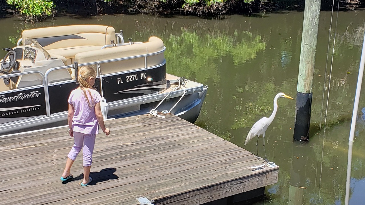Photo of Others in Crystal River