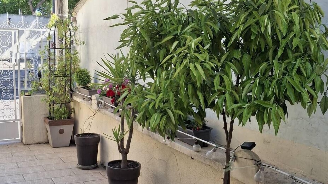 Photo of Outdoor in Port-Saint-Louis-du-Rhone