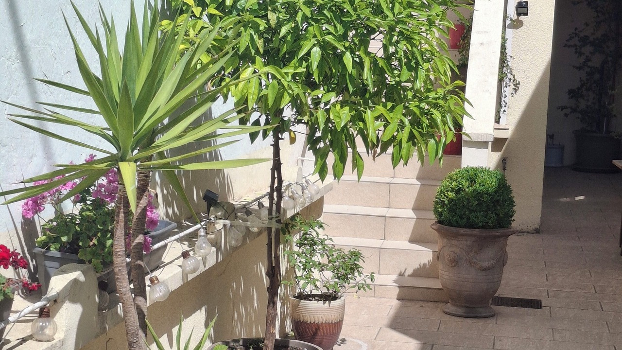 Photo of Outdoor in Port-Saint-Louis-du-Rhone