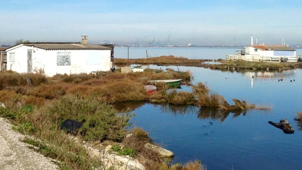 Photo of Others in Port-Saint-Louis-du-Rhone