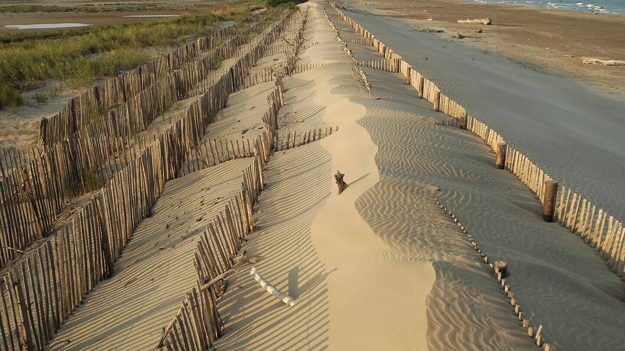 Photo of Others in Port-Saint-Louis-du-Rhone