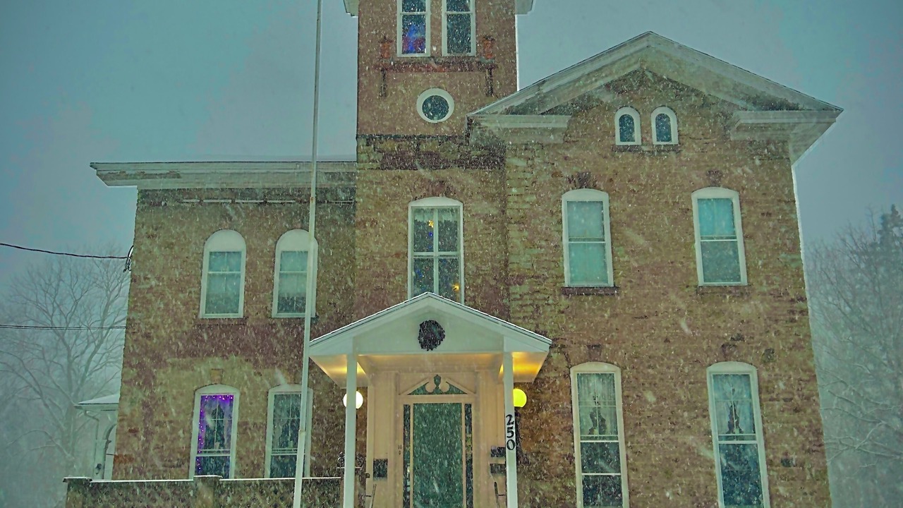 Photo of Outdoor in Albion