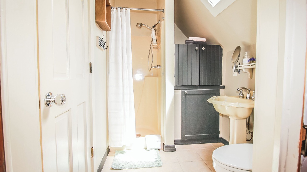 Photo of Bathroom in Eureka Springs Historic District