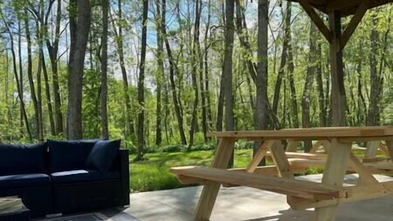 Photo of Others in Belfast