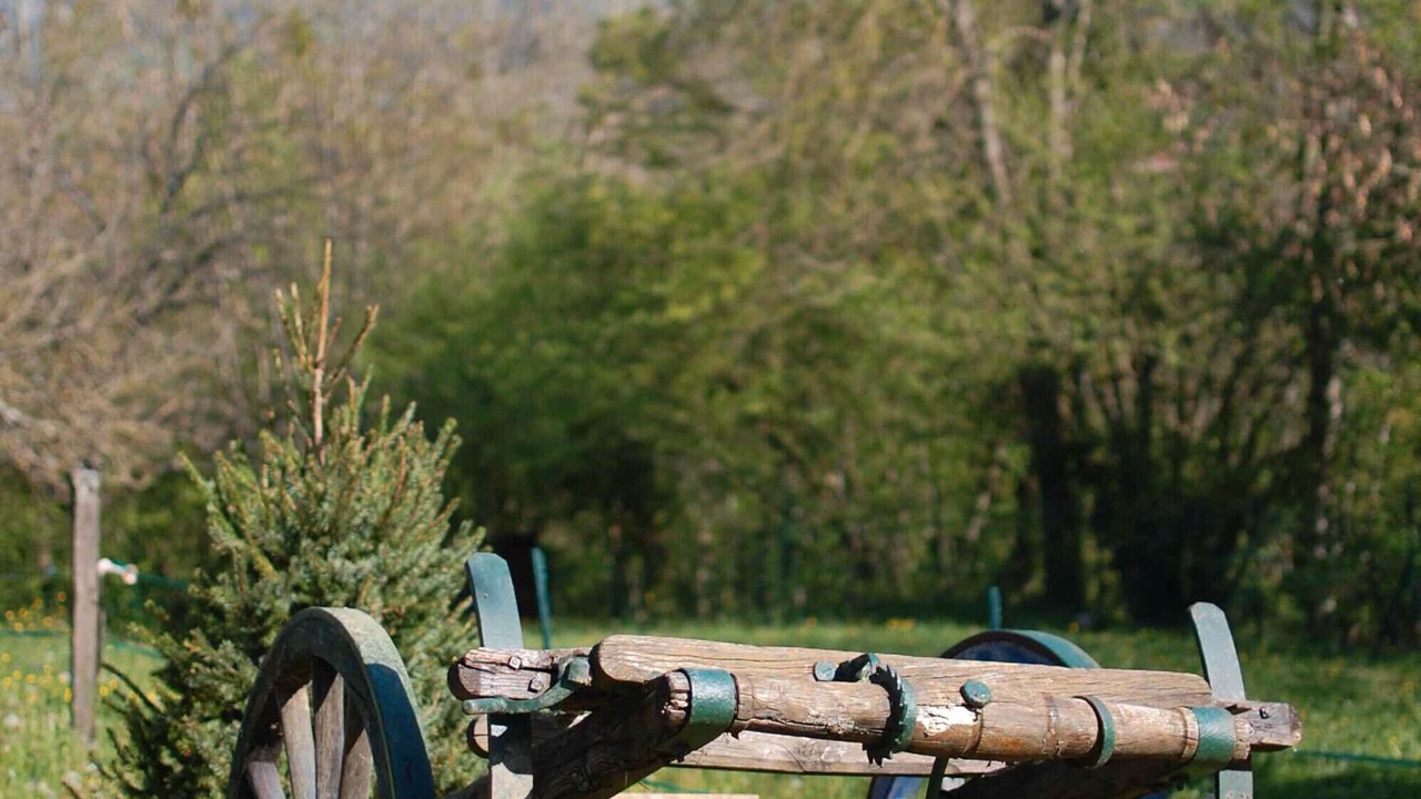 Photo of Others in Loisieux