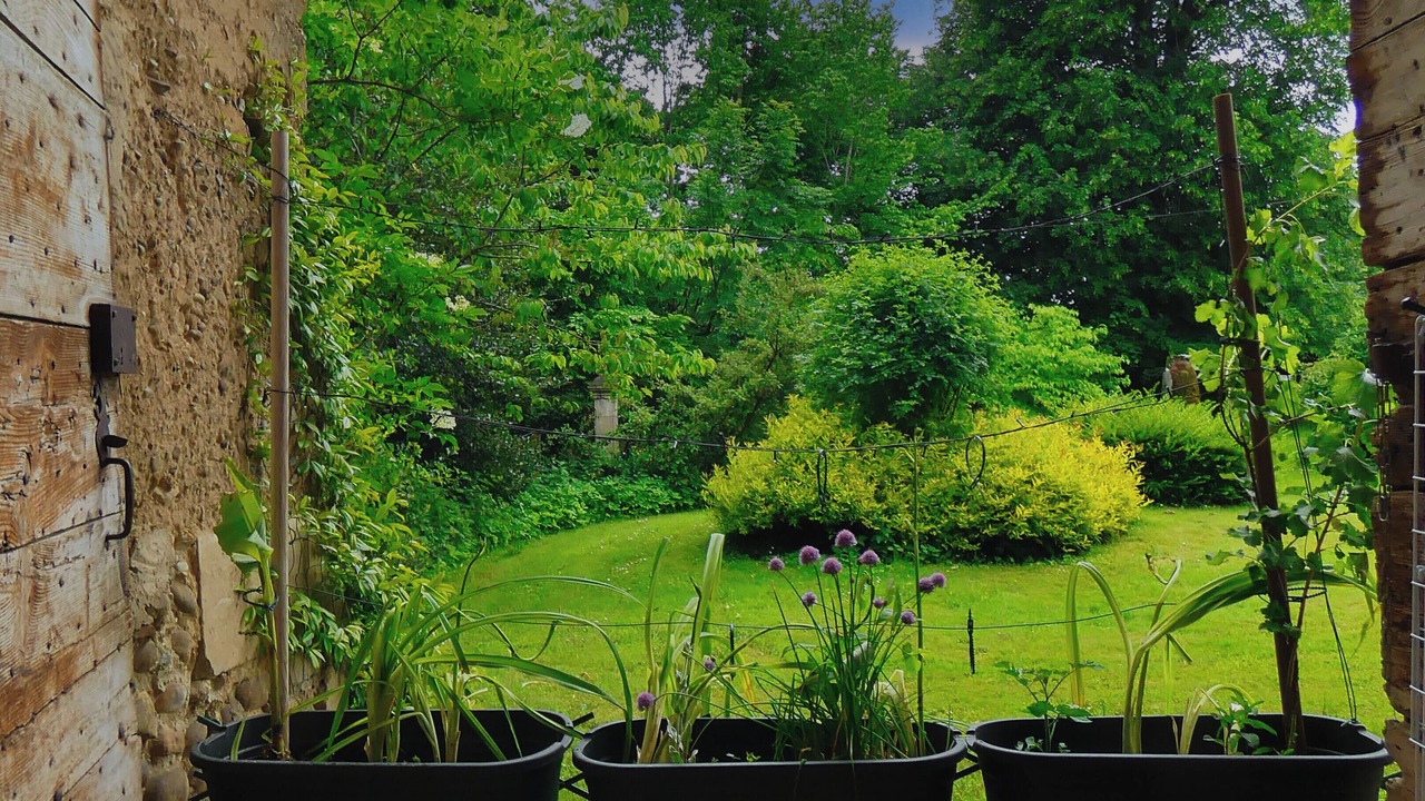 Photo of Outdoor in Paladru