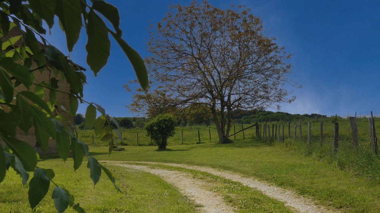 Photo of Outdoor in Paladru