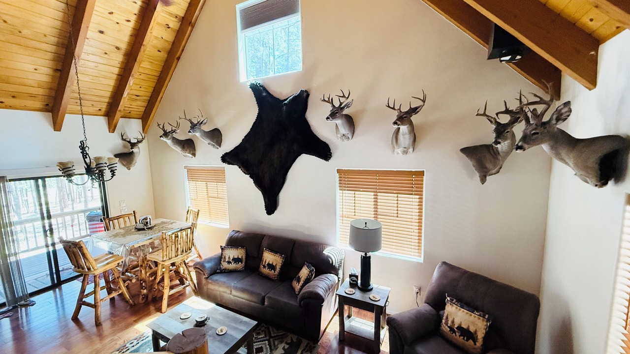 Photo of Livingroom in Alpine