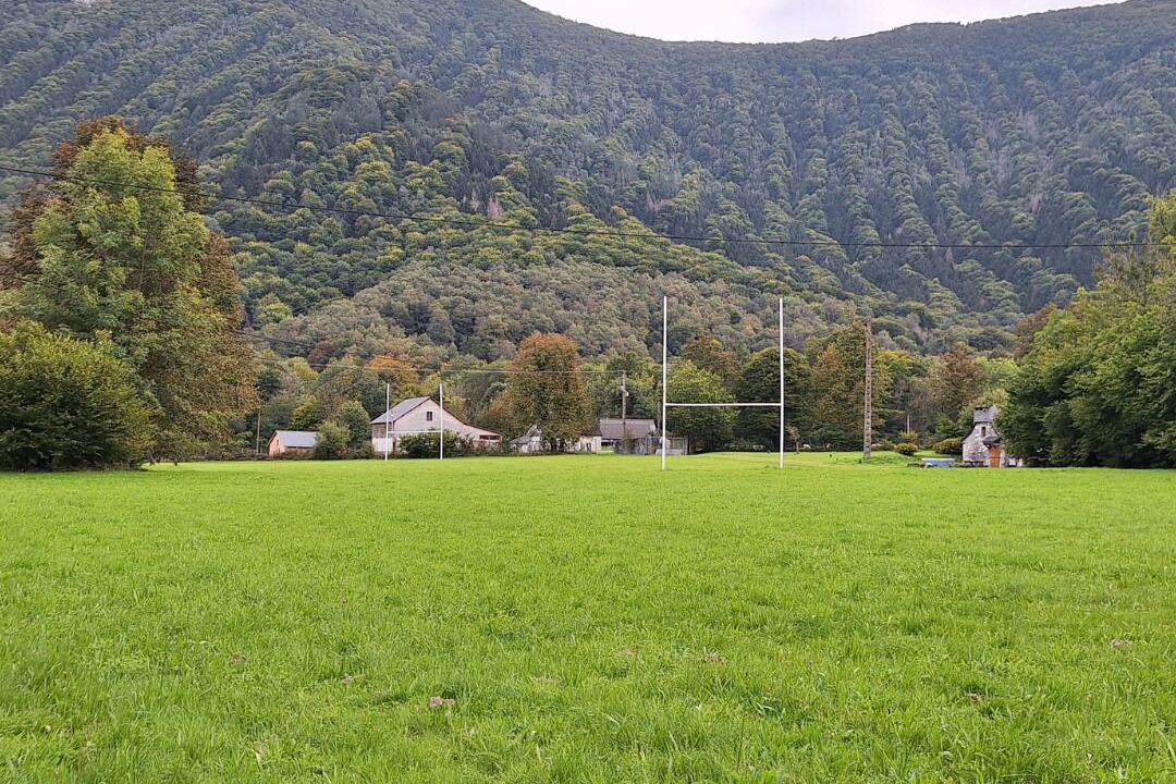 Photo of Others in Segus