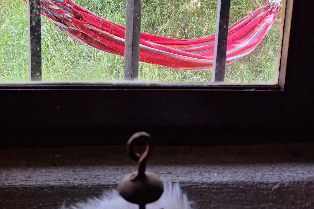 Photo of Others in Segus