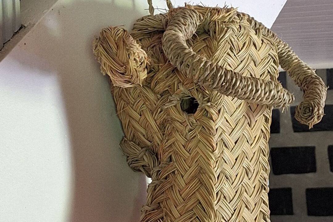 Photo of Others in Segus