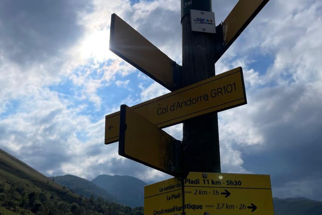 Photo of Others in Segus