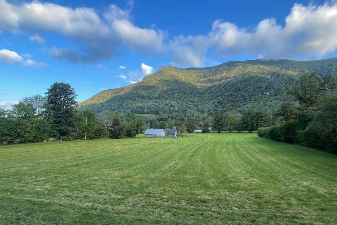 Photo of Others in Segus