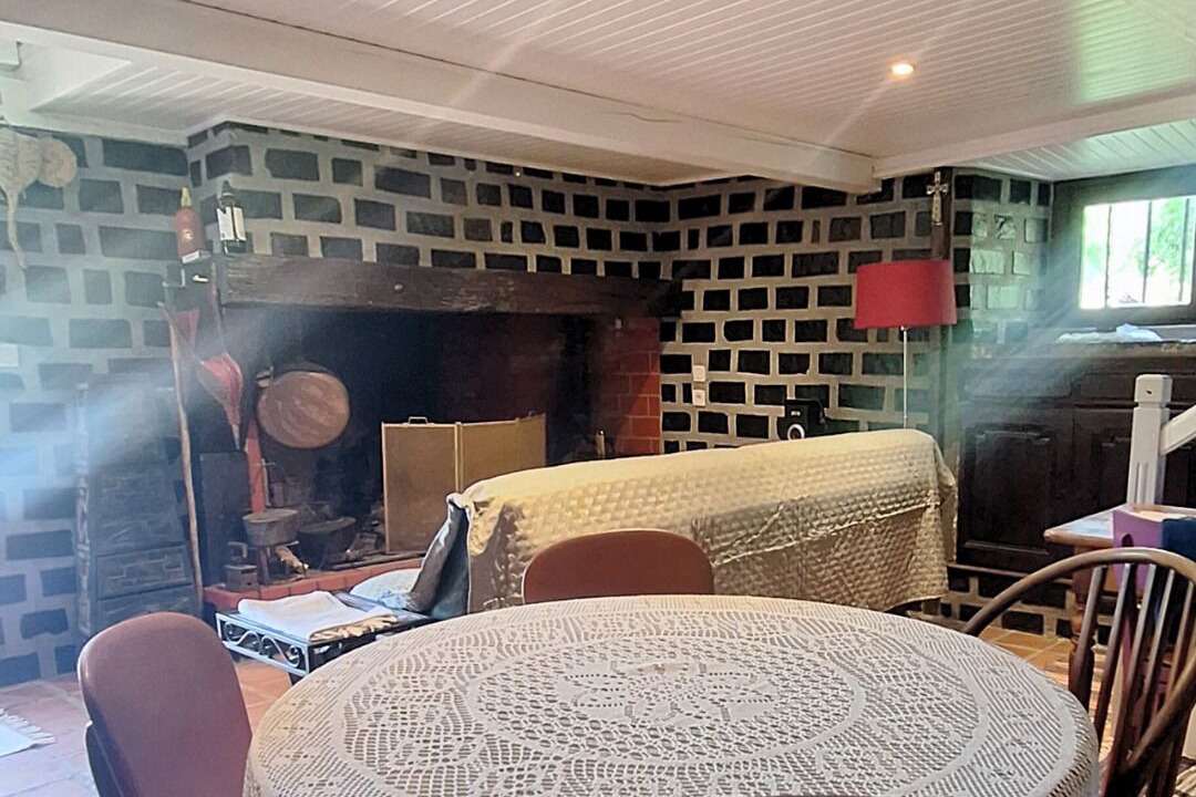 Photo of Others in Segus