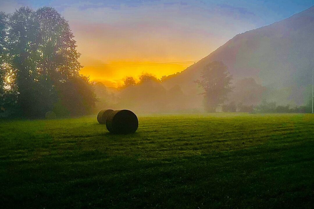 Photo of Others in Segus