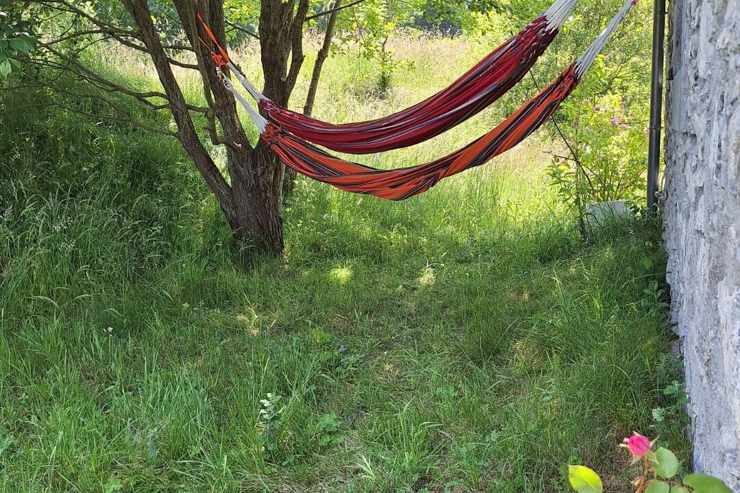 Photo of Others in Segus