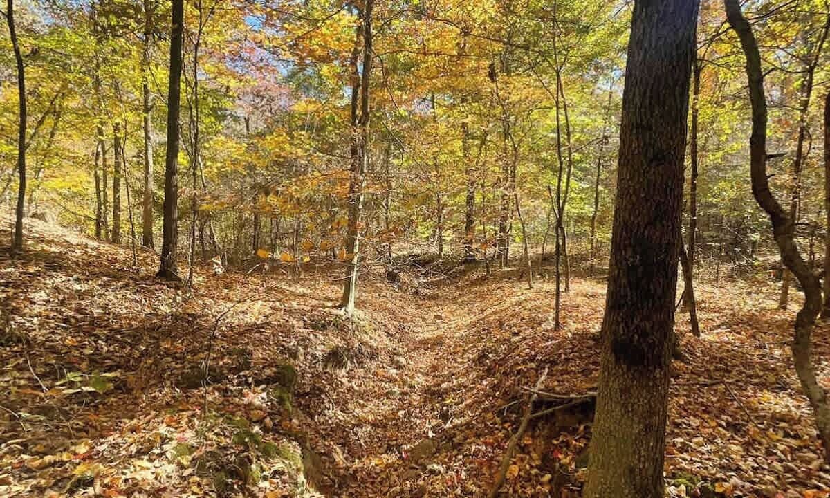 Photo of Others in McEwen