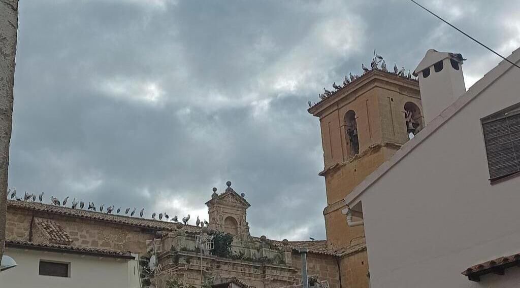 Photo of Others in Buendia