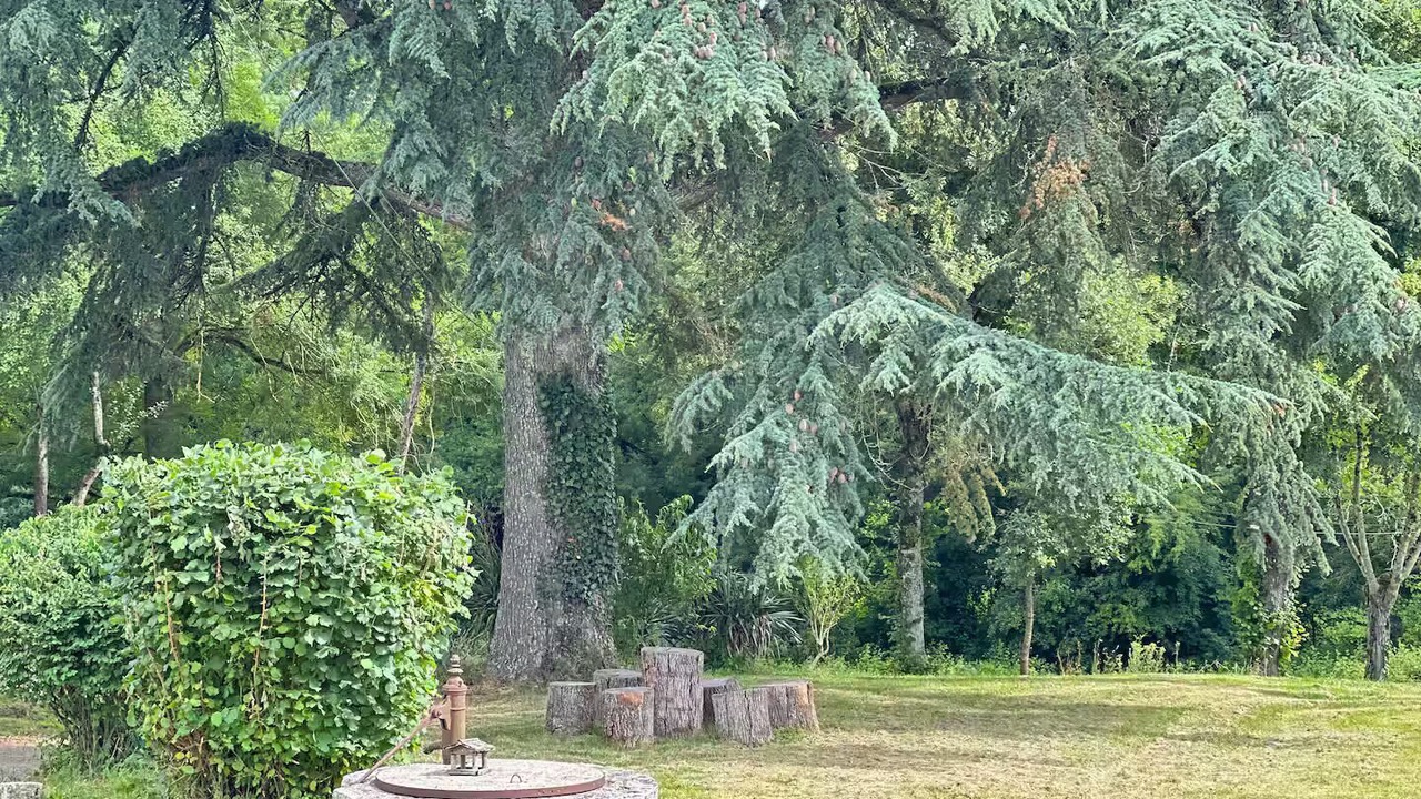 Photo of Outdoor in Roumagne