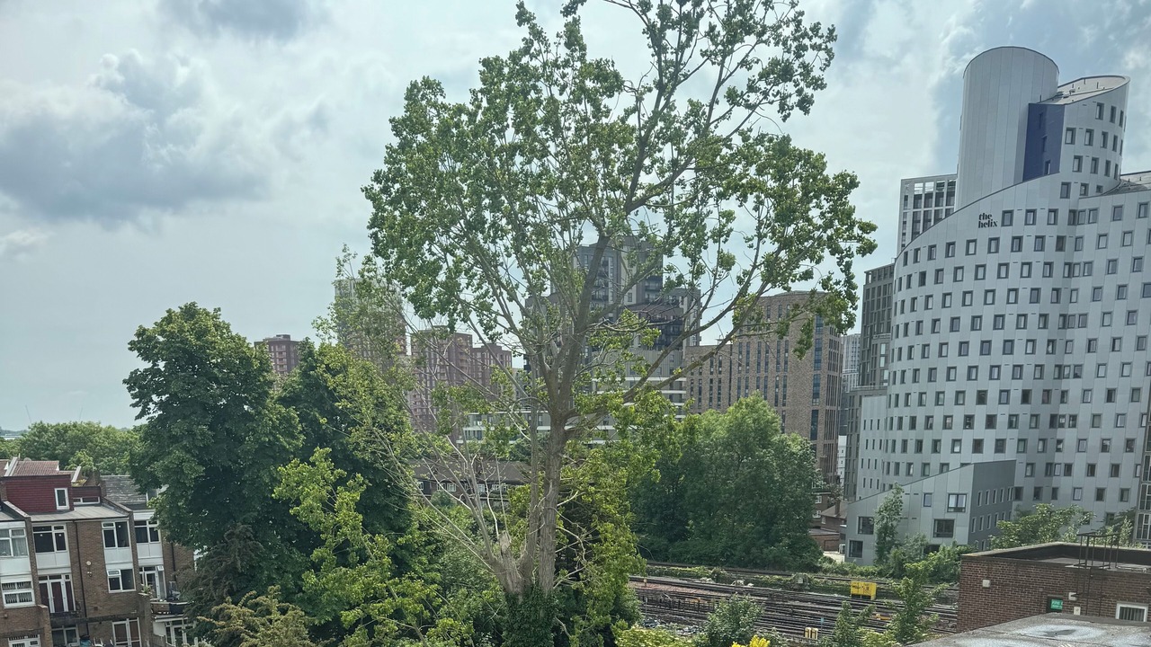 Photo of Others in Barnhill