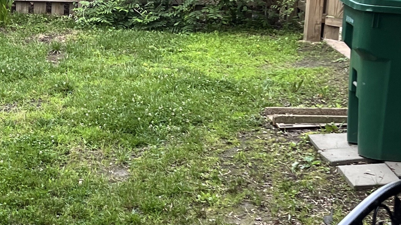 Photo of Outdoor in Tuckahoe