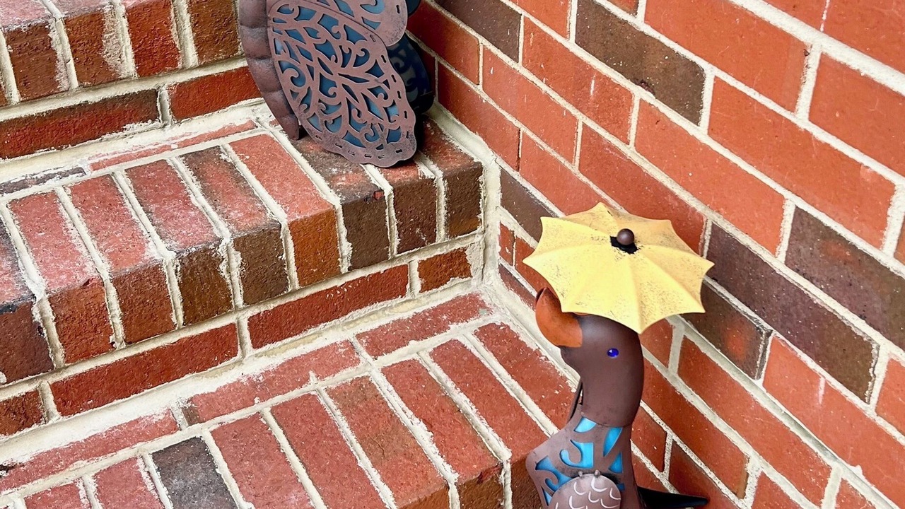 Photo of Outdoor in Tuckahoe