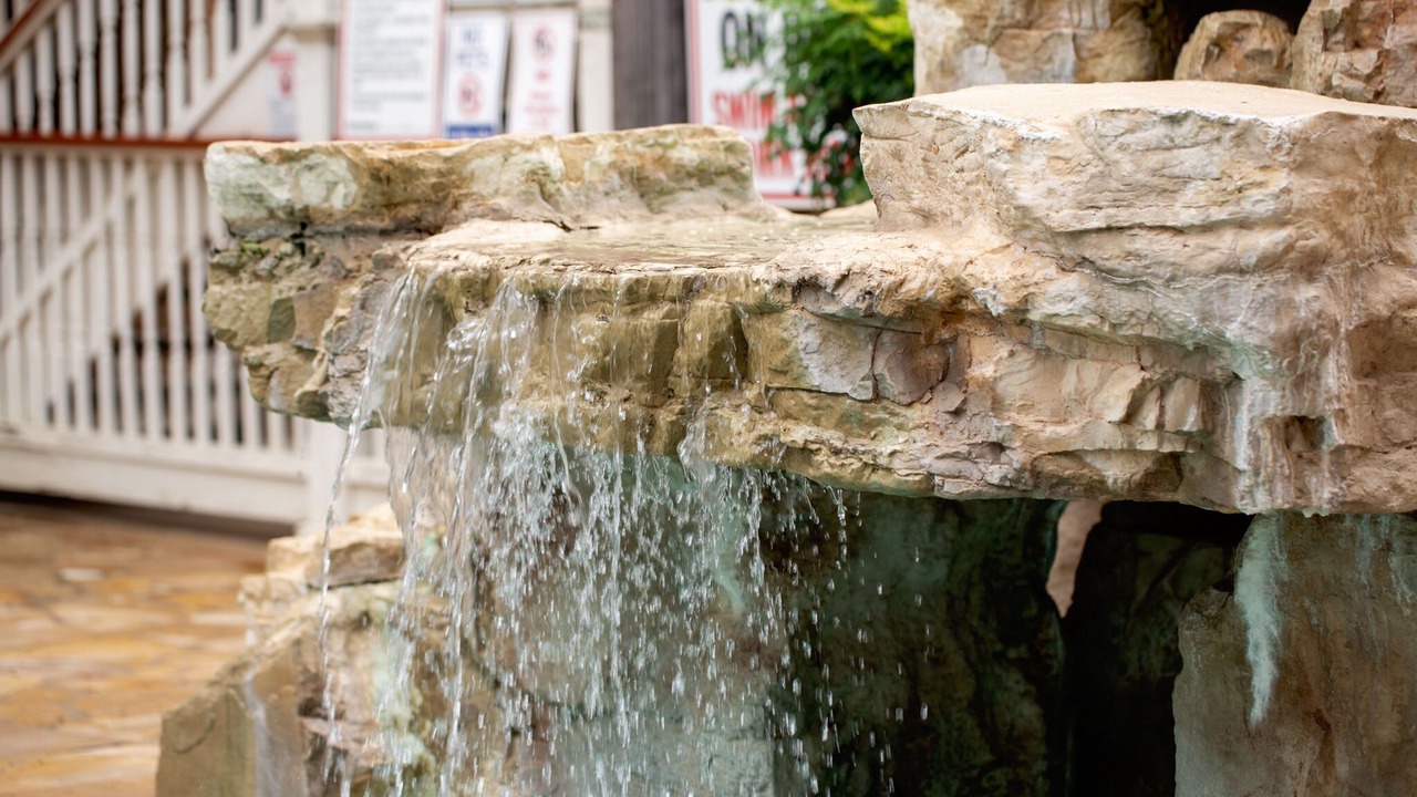 Photo of Others in Gruene