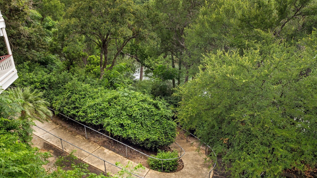 Photo of Others in Gruene