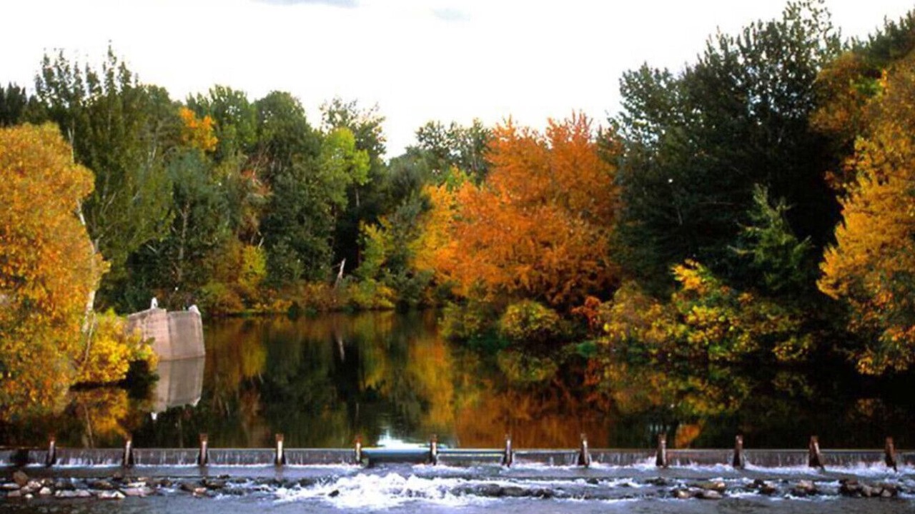 Photo of Others in Star