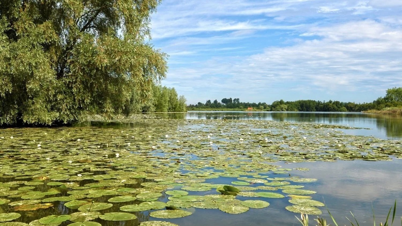 Photo of Others in Muncq-Nieurlet