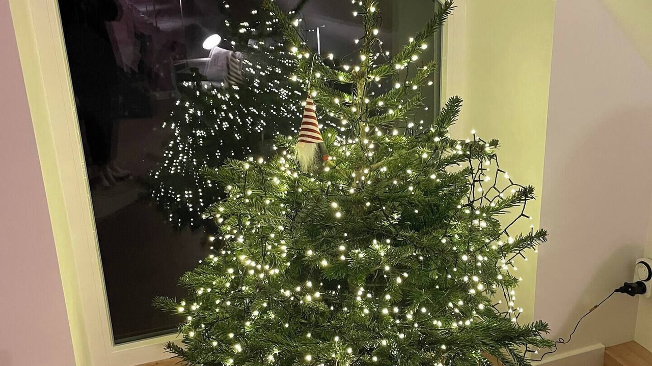 Photo of Others in Monswiller