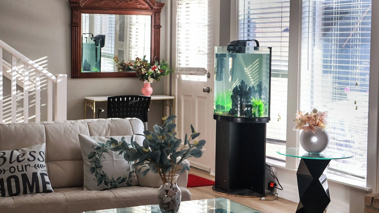 Photo of Livingroom in Mission Bend