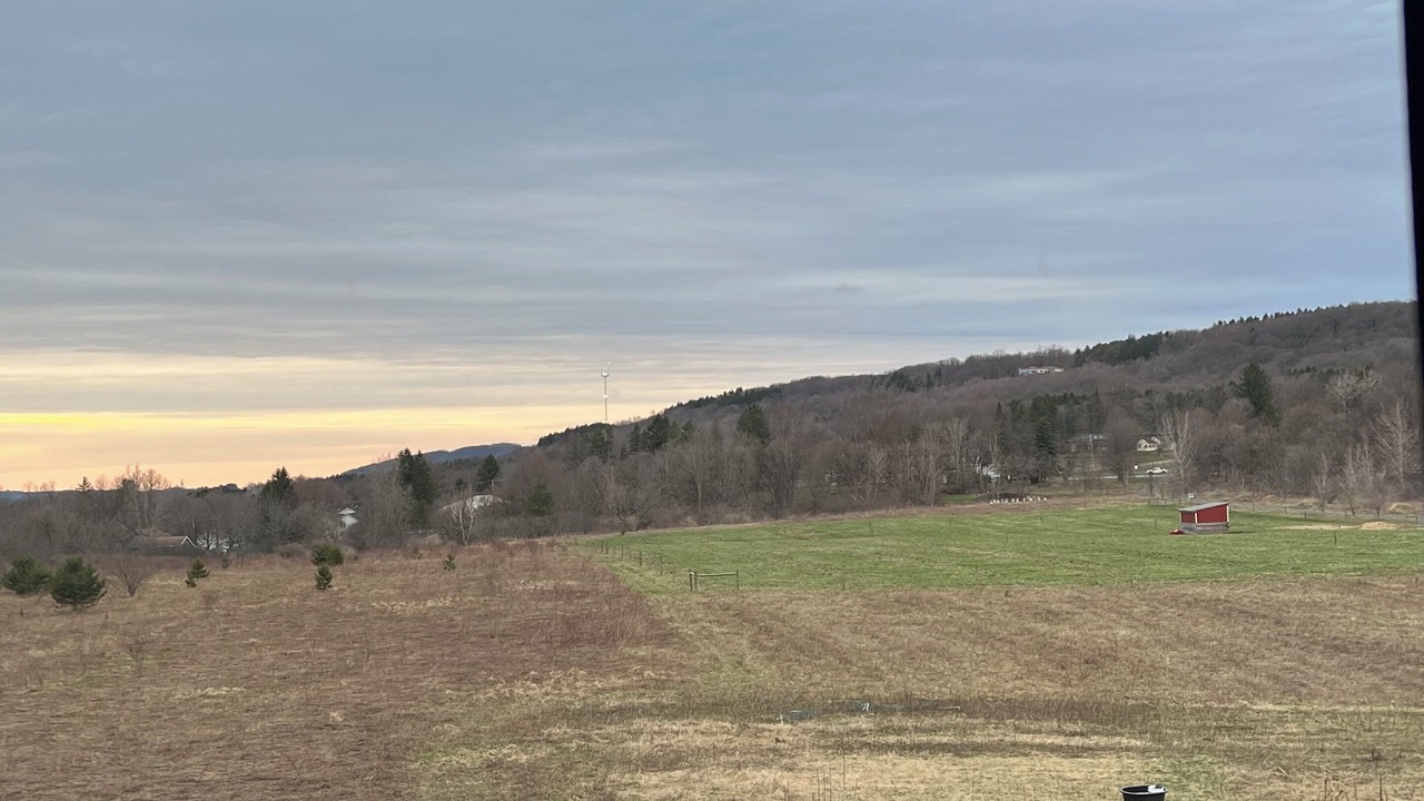 Photo of Others in LaFayette