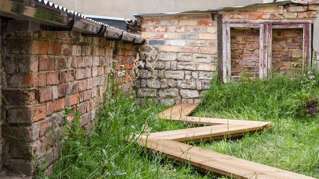 Photo of Outdoor in Chatham