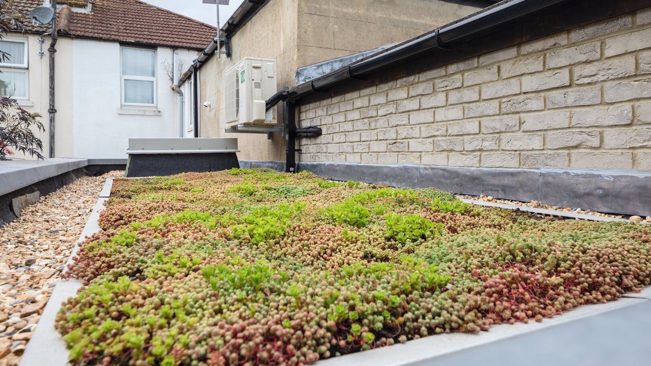 Photo of Outdoor in Chatham