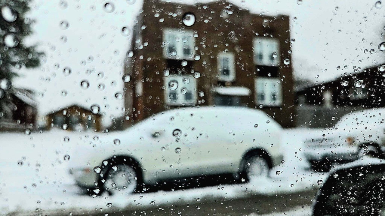 Photo of Others in Tower Grove East