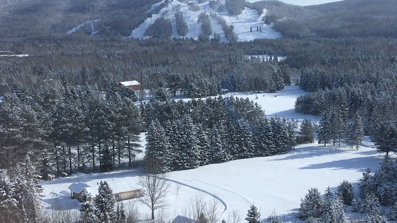 Photo of Others in Searchmont